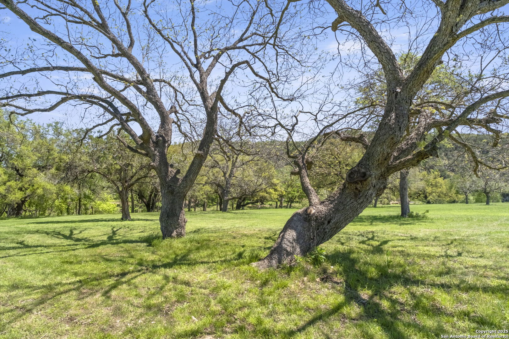 829 Bingham Lane New Braunfels TX 78132