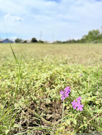 Tbd Nakomis Drive Bandera TX 78003