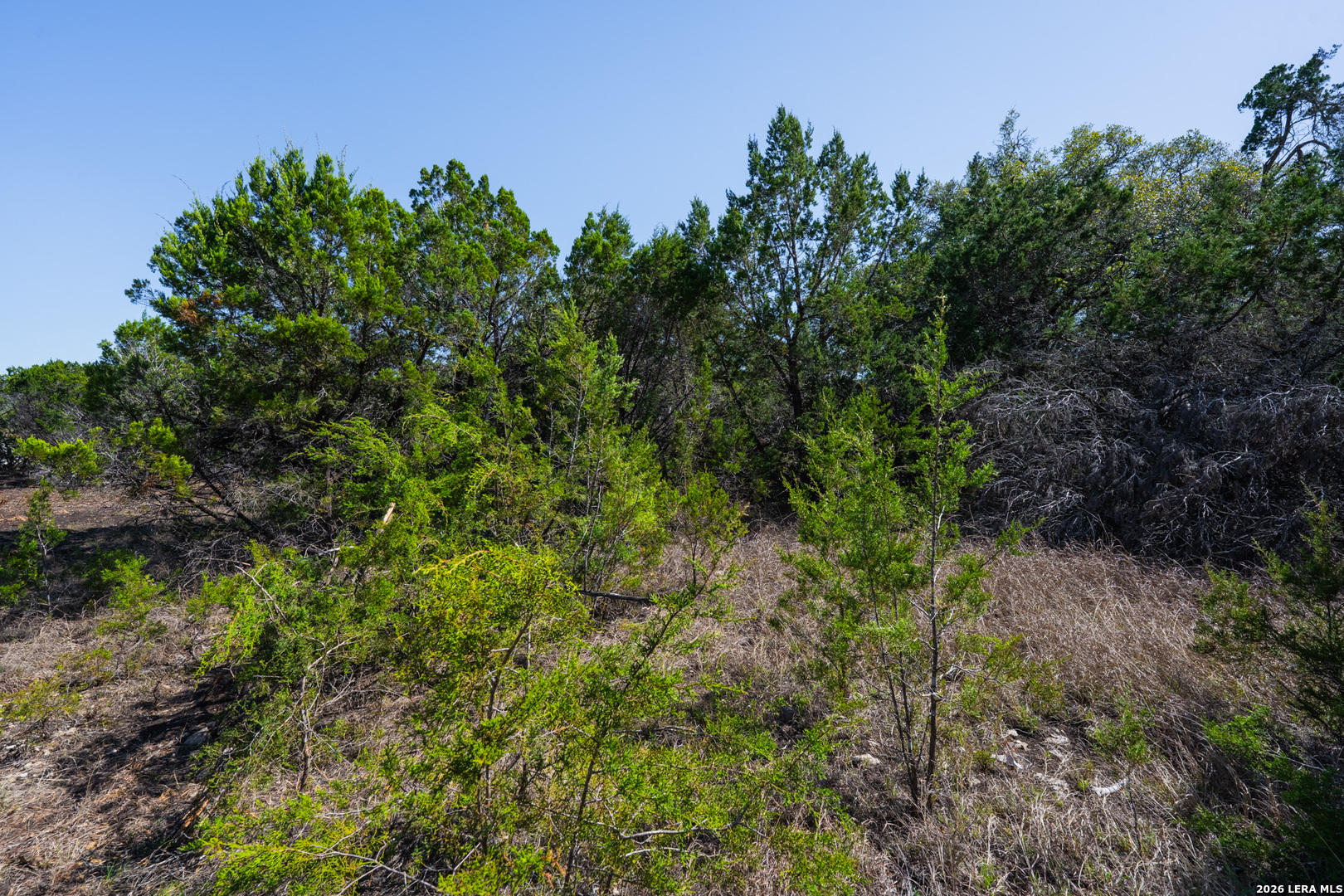 26809 Kentoaks San Antonio TX 78260