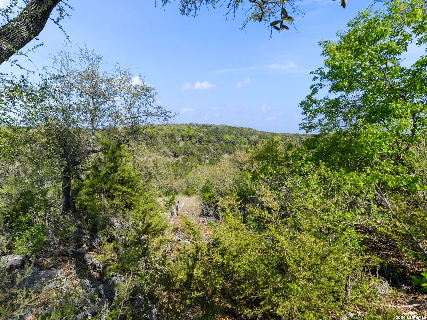 1333 Powder Ridge New Braunfels TX 78132