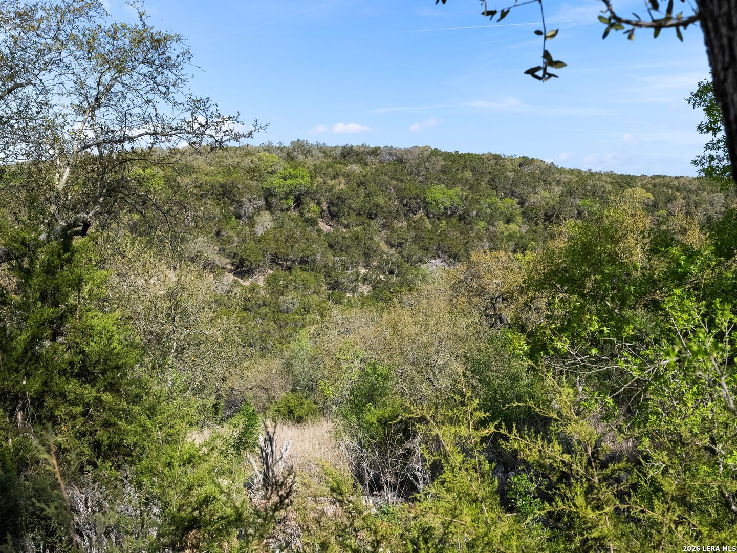 1333 Powder Ridge New Braunfels TX 78132
