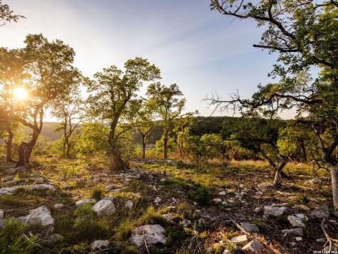 1333 Powder Ridge New Braunfels TX 78132