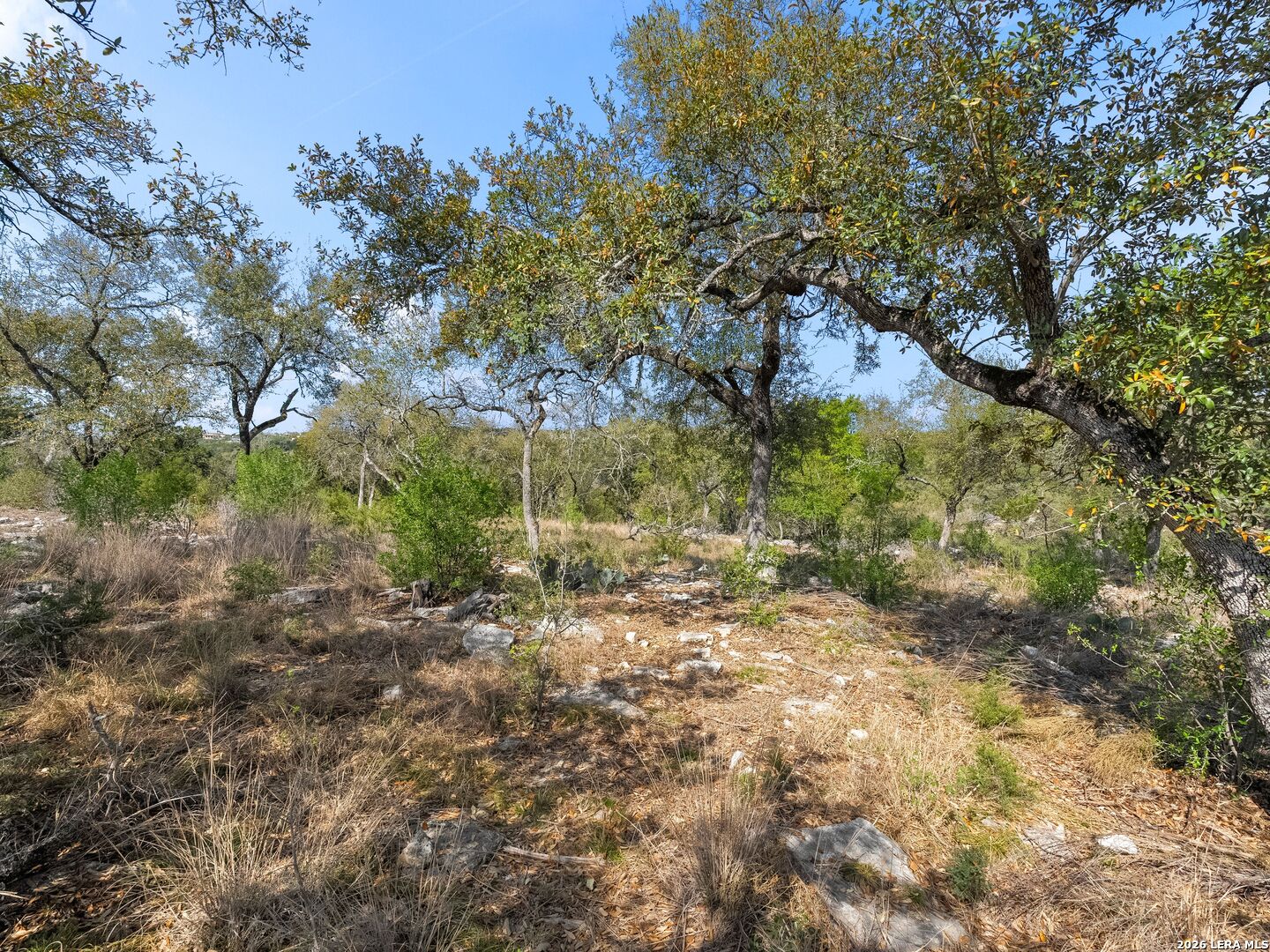 1333 Powder Ridge New Braunfels TX 78132
