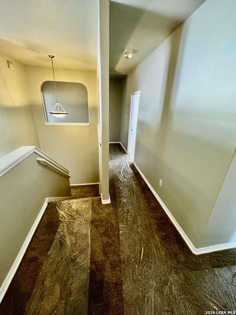 25602 Sophora San Antonio TX 78261