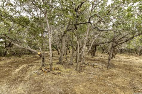 1595 Rocky Ridge Loop Canyon Lake TX 78133