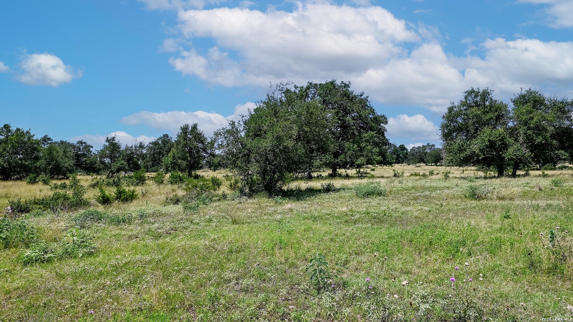 1135 Highland Oaks New Braunfels TX 78132