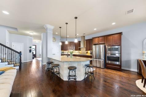 29010 Chaffin Light San Antonio TX 78260