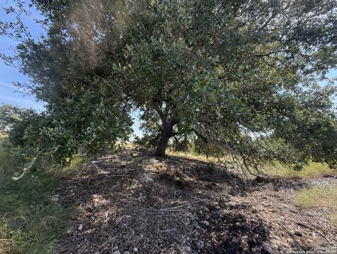 Lot 51 S Walcott Ridges Drive Kerrville TX 78028