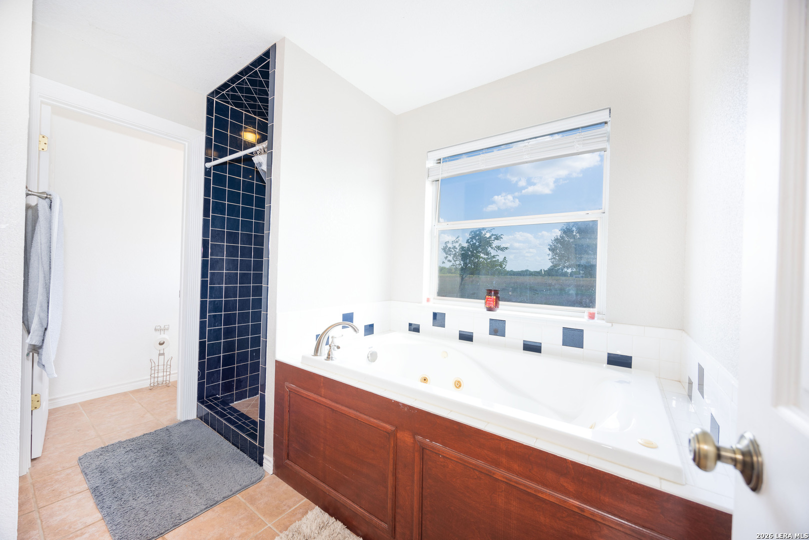 241 Private Road 3808 San Antonio TX 78253