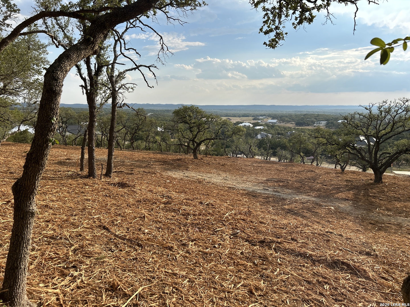34780 Ansley Ridge Bulverde TX 78163