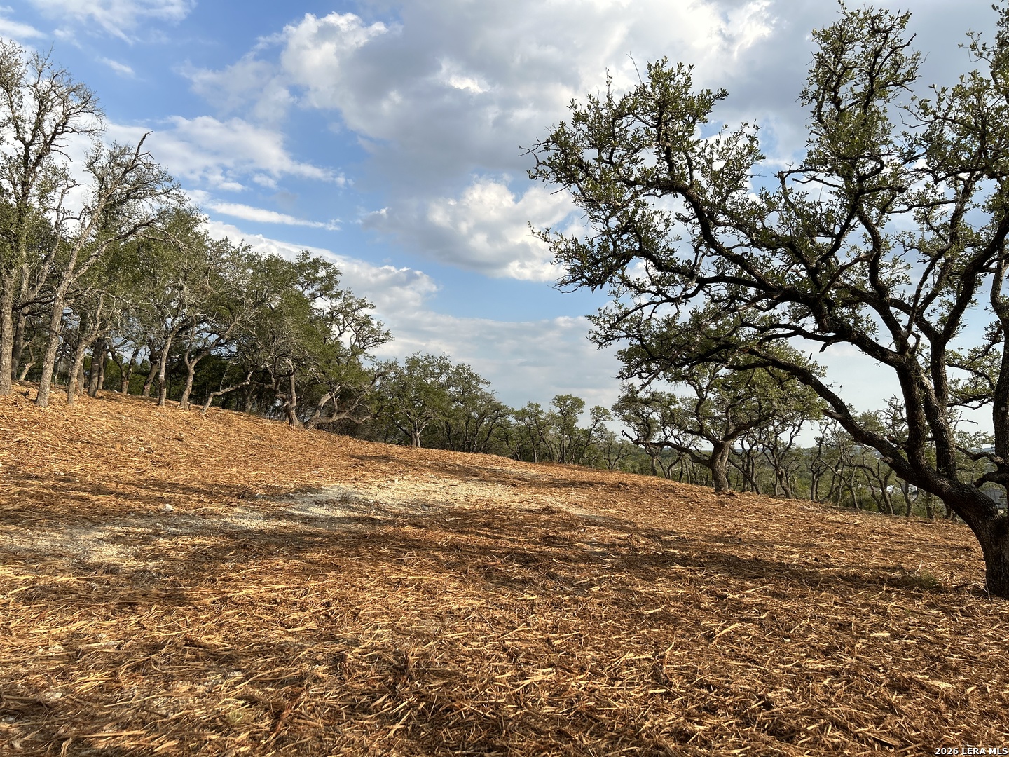 34780 Ansley Ridge Bulverde TX 78163
