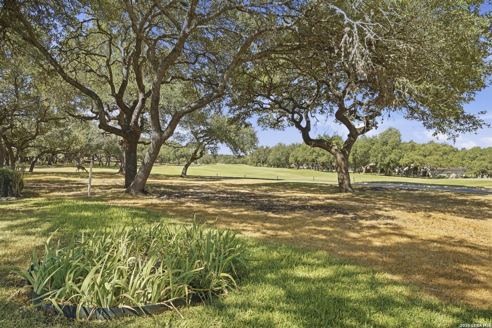 29623 Terra Vista Boerne TX 78015