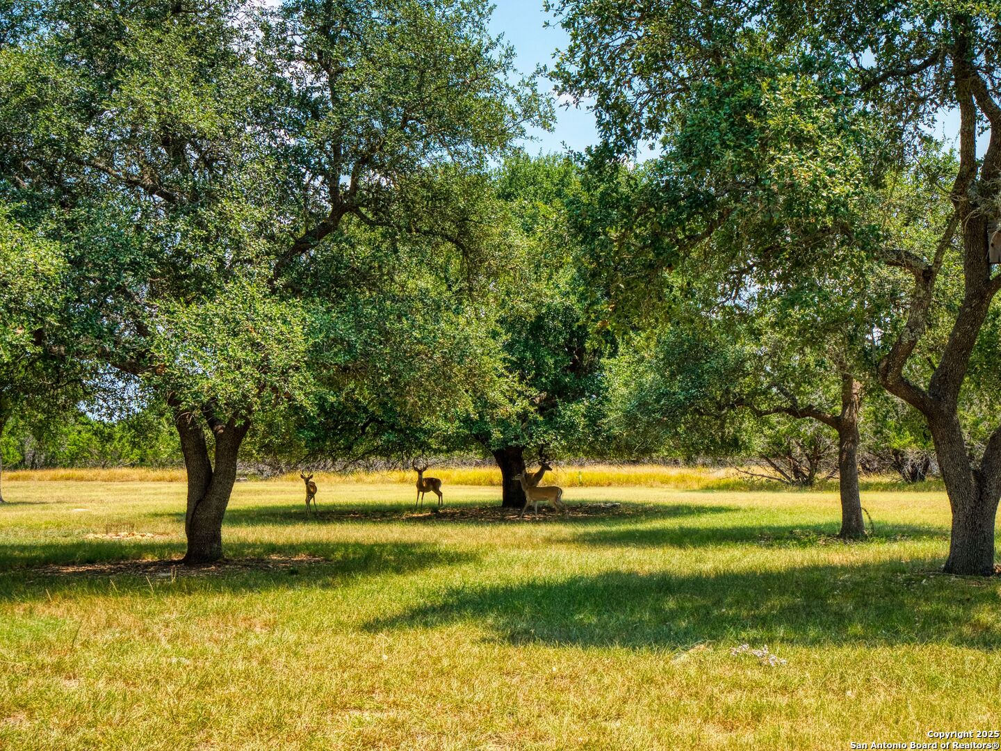 181 Highland Meadows Bandera TX 78003