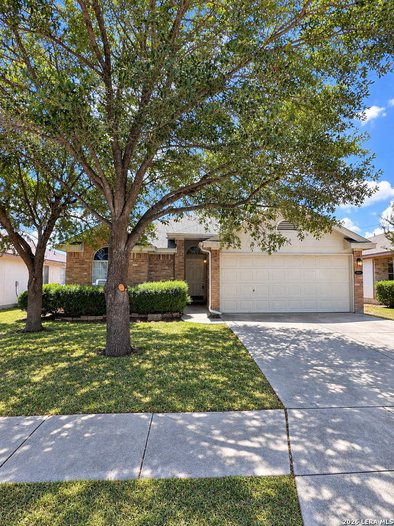 8414 Pigeonberry Drive Converse TX 78109