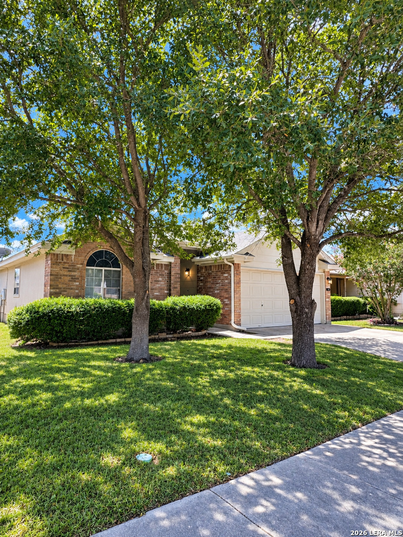 8414 Pigeonberry Drive Converse TX 78109