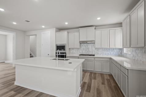 14417 Blue Mesa Hill San Antonio TX 78245