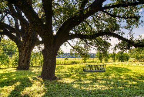 166 Cypress Falls Road Utopia TX 78884