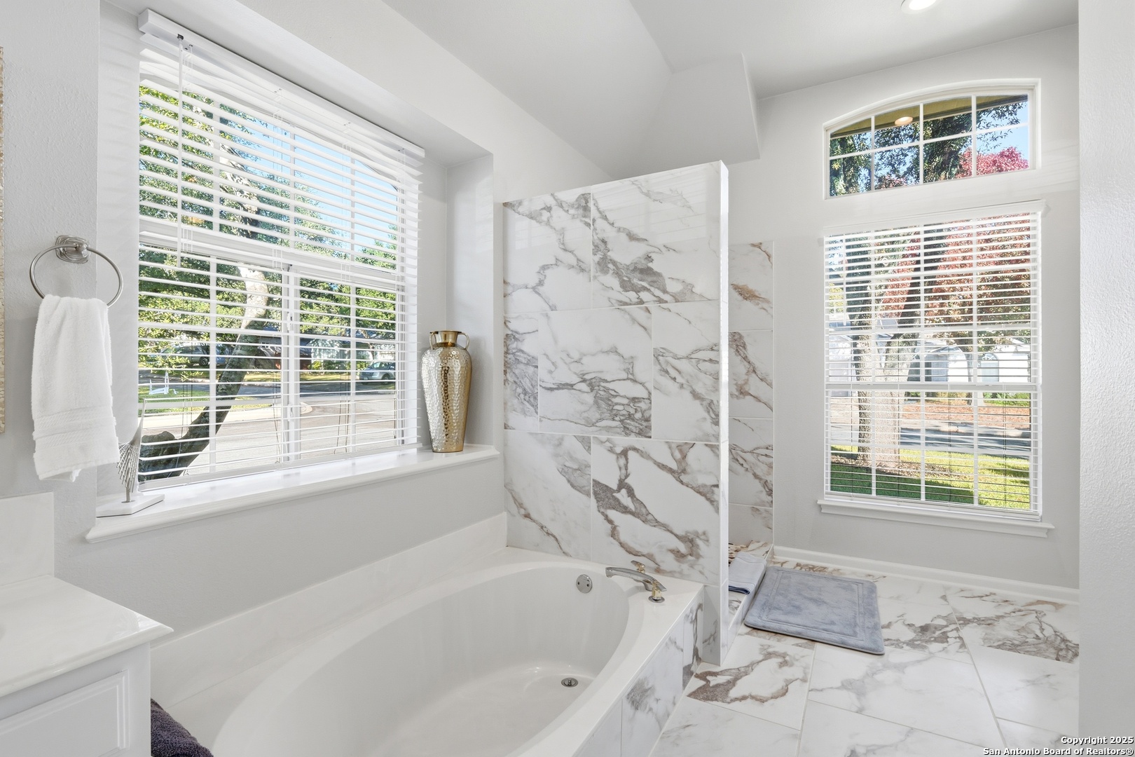 6438 Amber Oak San Antonio TX 78249