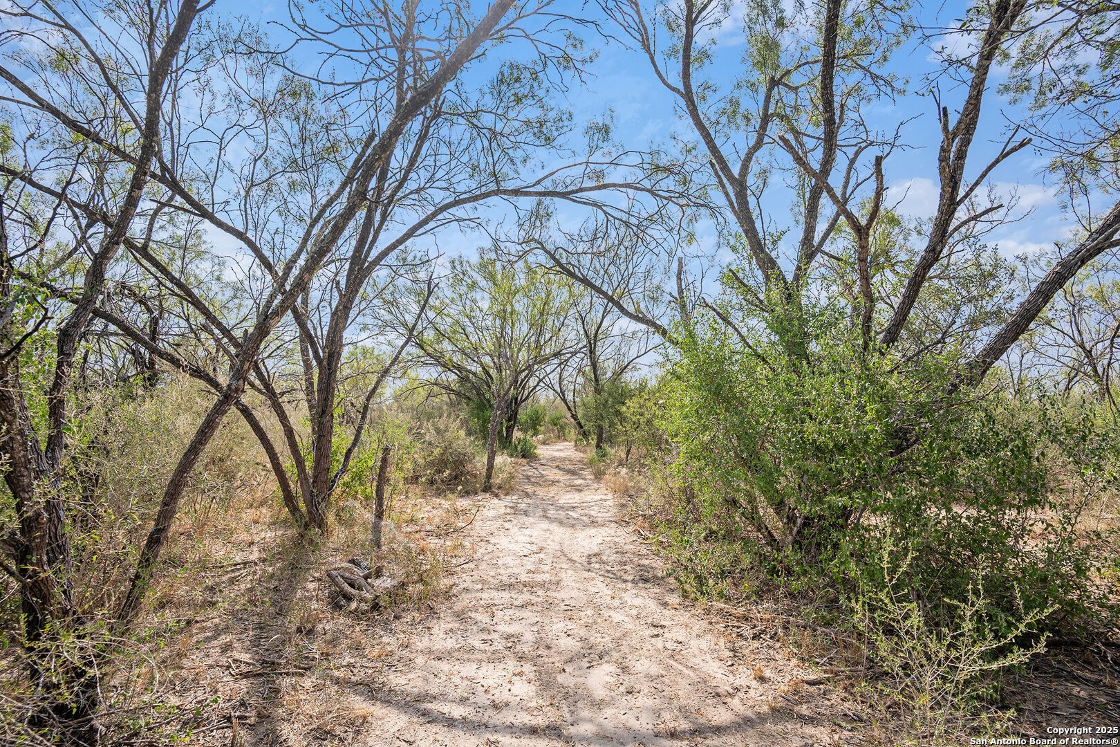 545 County Road 741 Yancey TX 78886