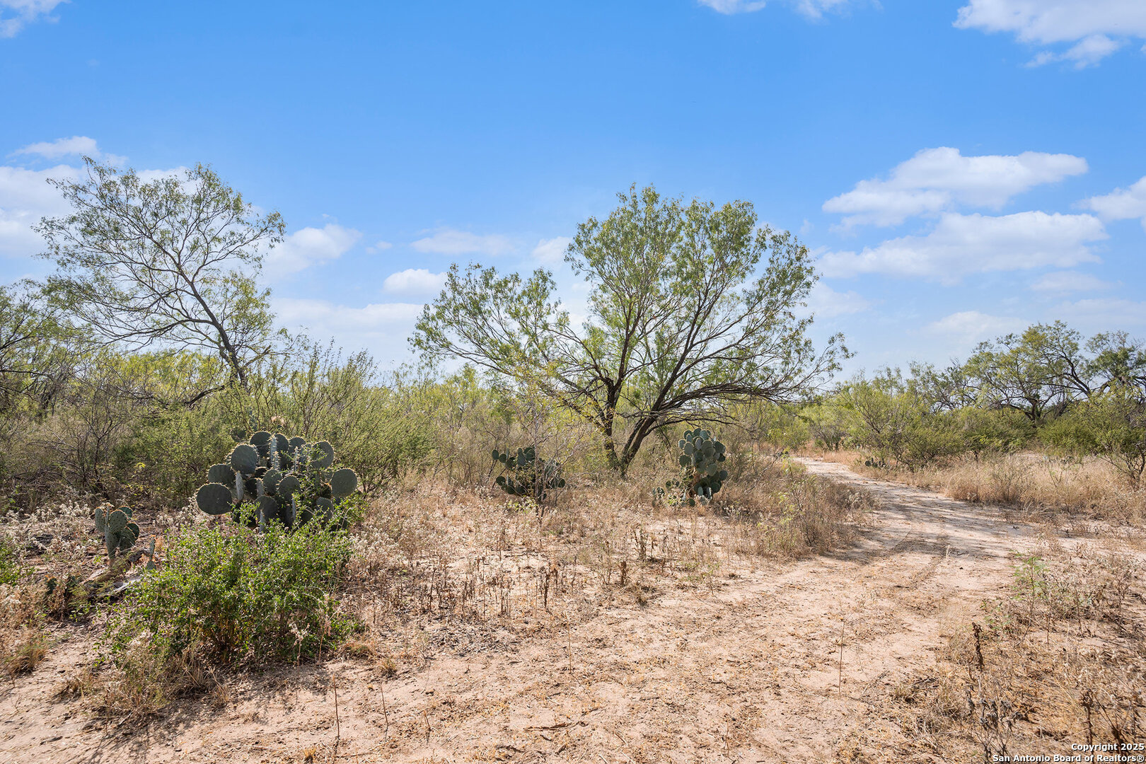545 County Road 741 Yancey TX 78886