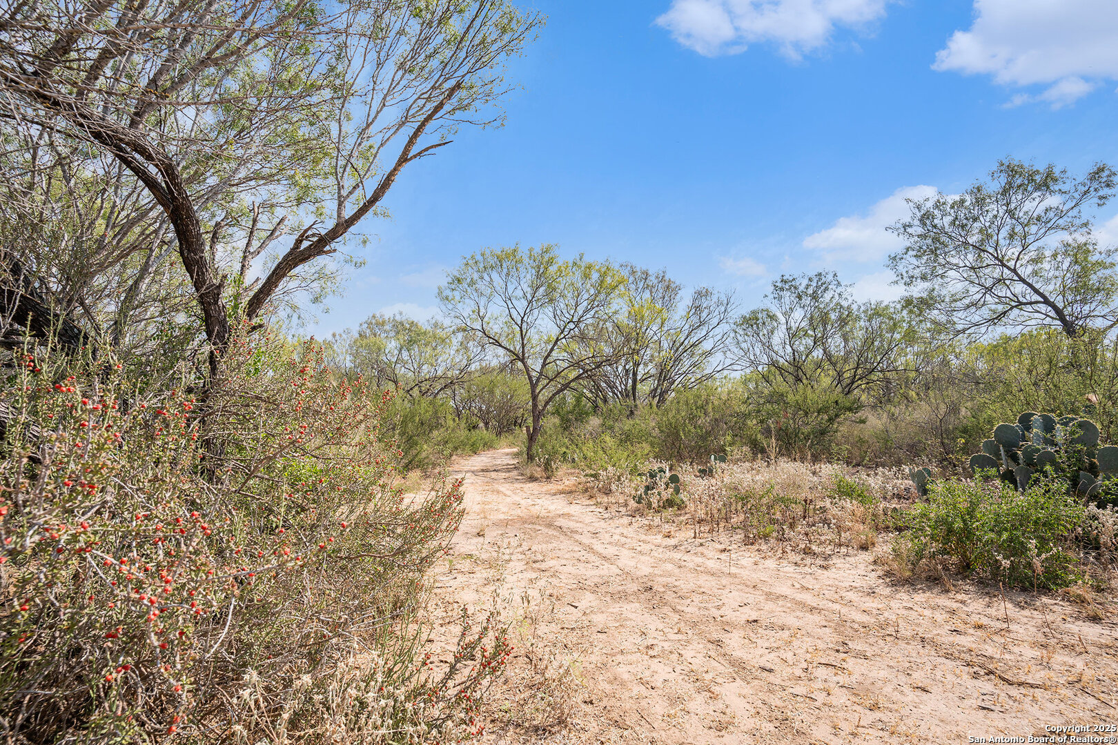 545 County Road 741 Yancey TX 78886