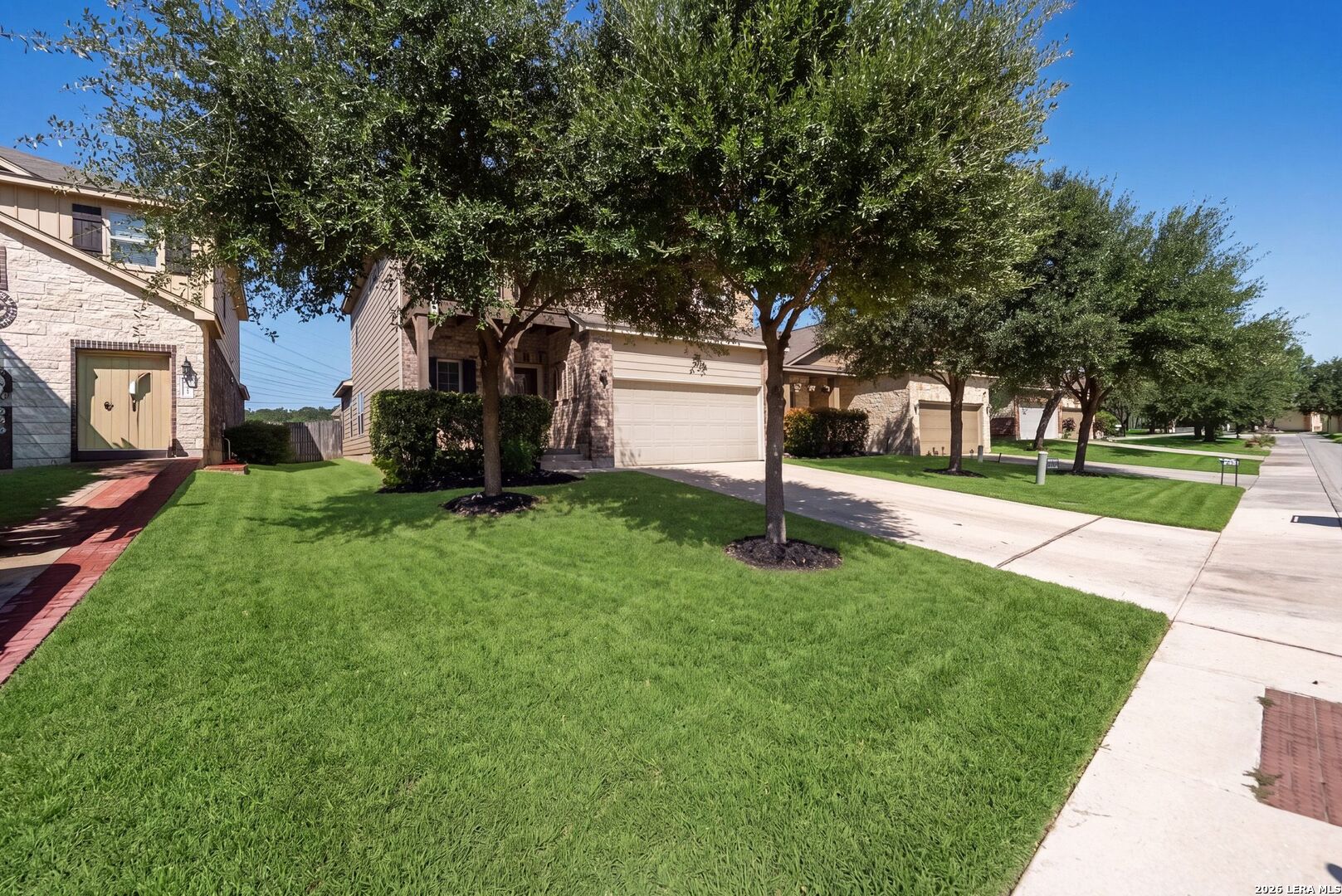 1631 Badger Wolf San Antonio TX 78245