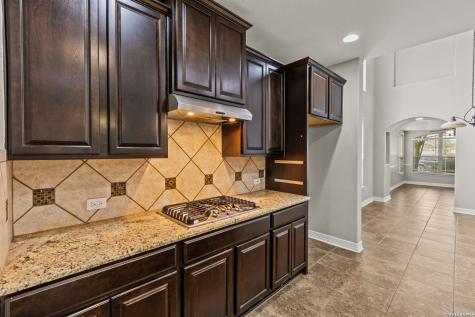 8719 Kallison Arbor San Antonio TX 78254