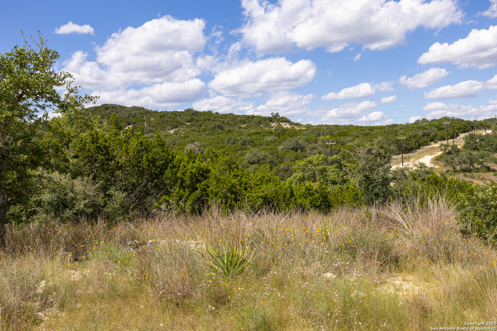 11313 Sloanes Ridge San Antonio TX 78255
