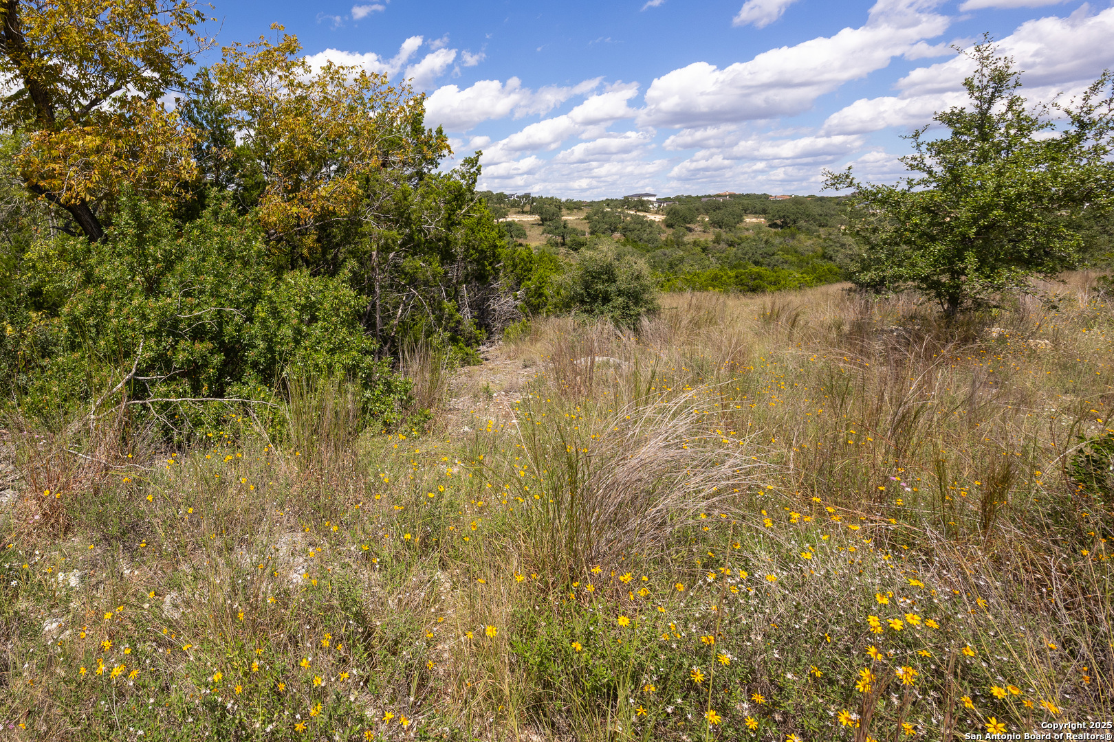 11313 Sloanes Ridge San Antonio TX 78255