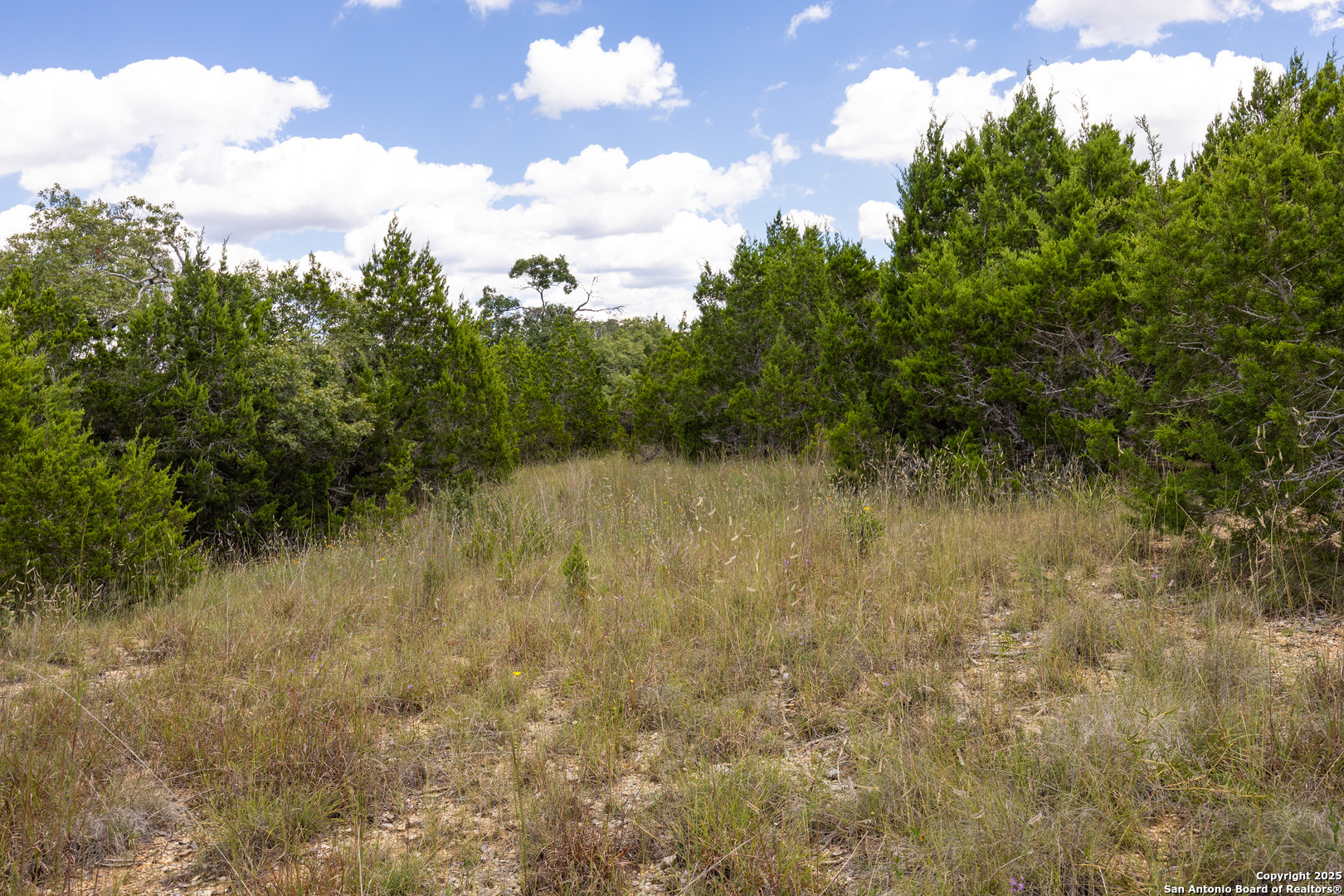 11313 Sloanes Ridge San Antonio TX 78255