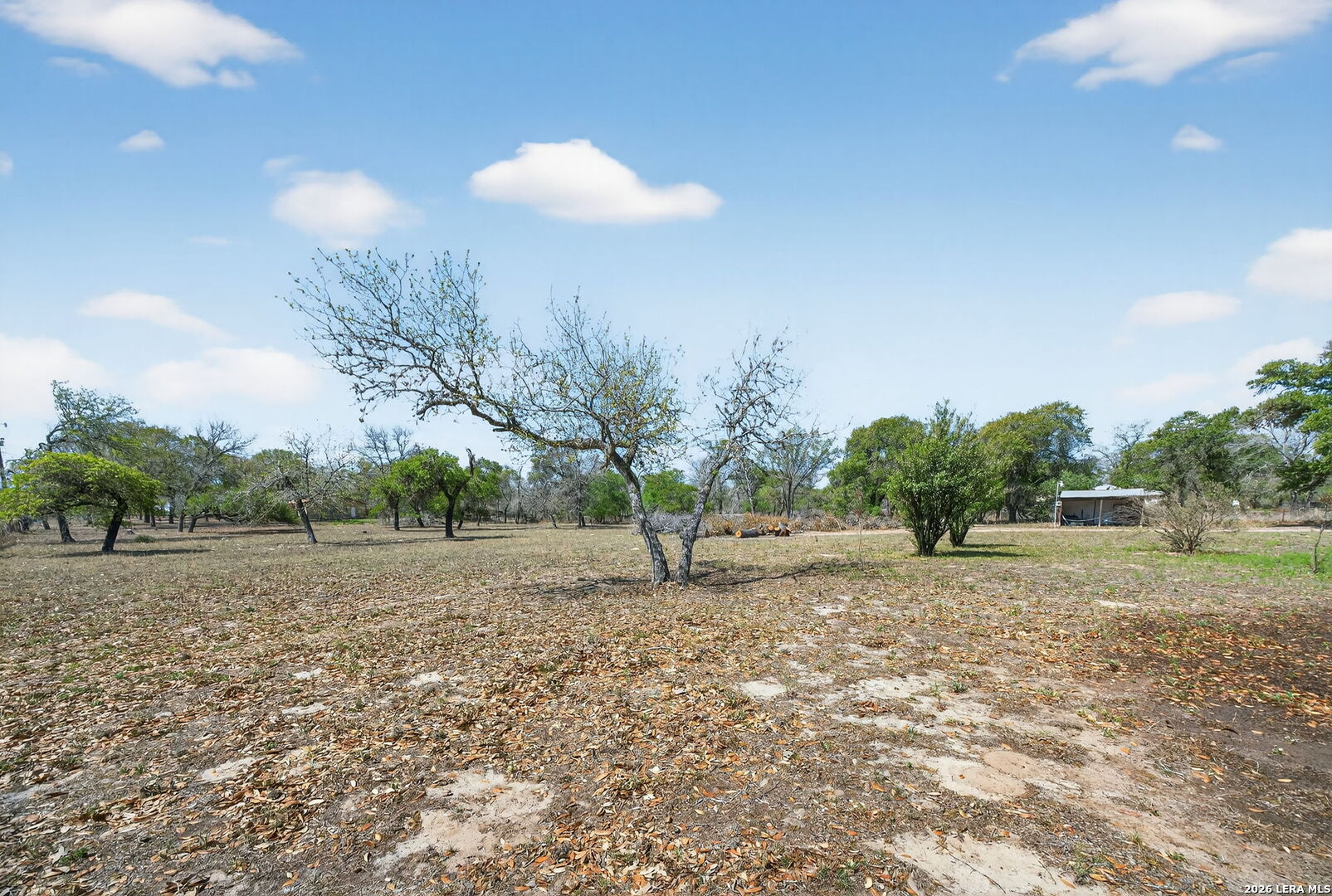 23373 Contour San Antonio TX 78264