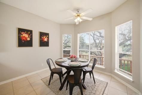 13719 Chittim Woods San Antonio TX 78232