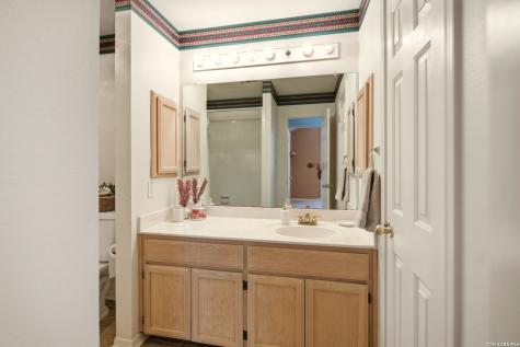 13719 Chittim Woods San Antonio TX 78232