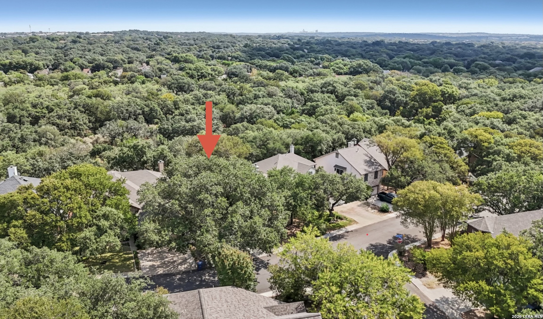 13719 Chittim Woods San Antonio TX 78232
