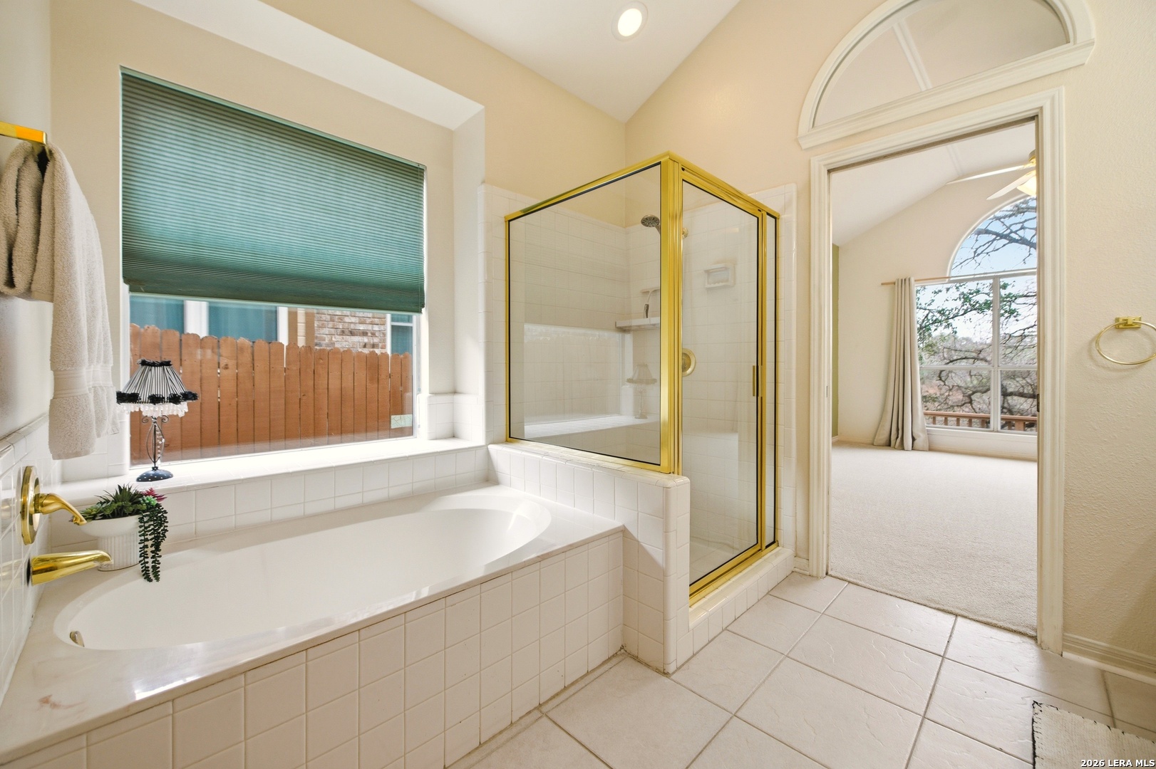 13719 Chittim Woods San Antonio TX 78232