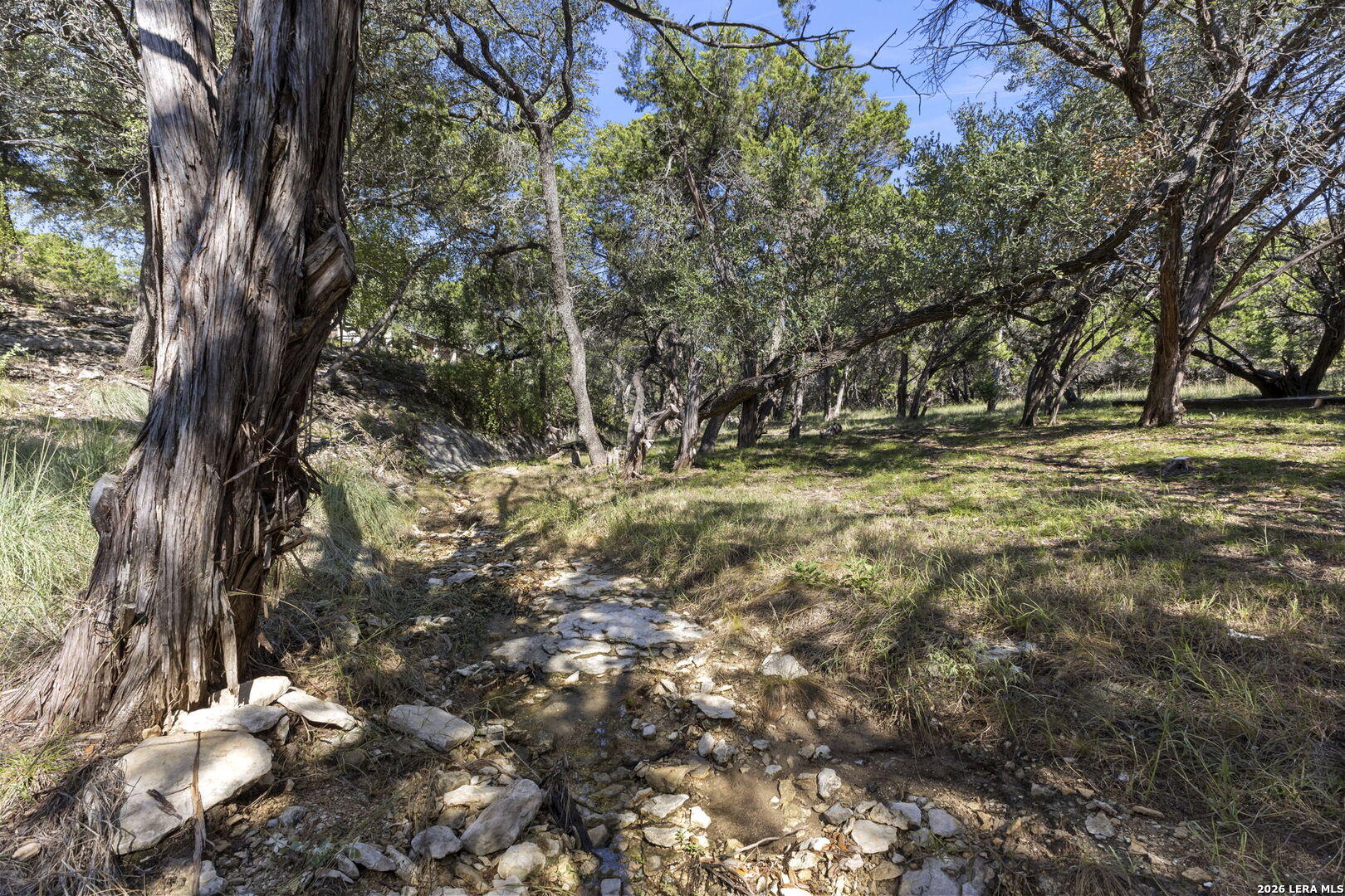 31051 Elise Ann Bulverde TX 78163
