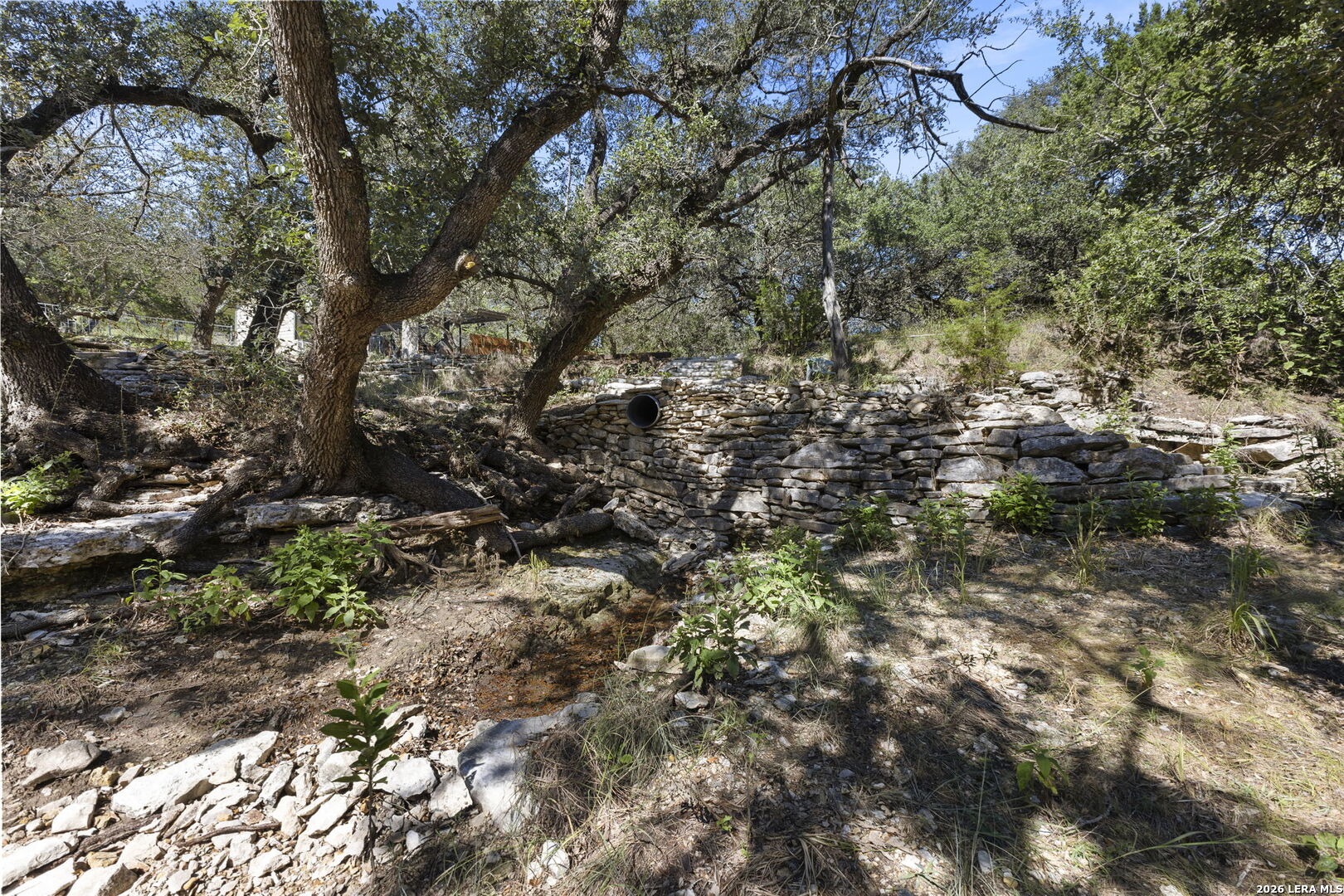 31051 Elise Ann Bulverde TX 78163