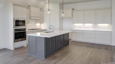 354 Lacey Oak Castroville TX 78009
