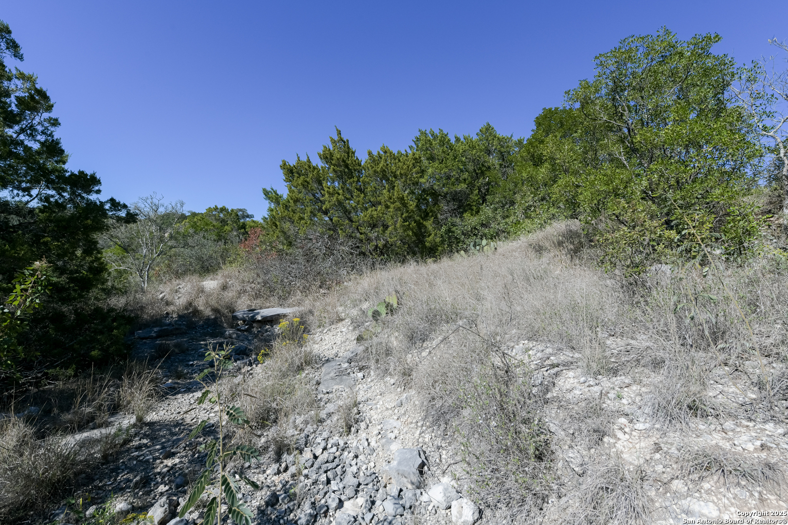 11304 Condor Pass Helotes TX 78023