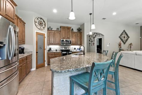 309 Hickory Trail La Vernia TX 78121