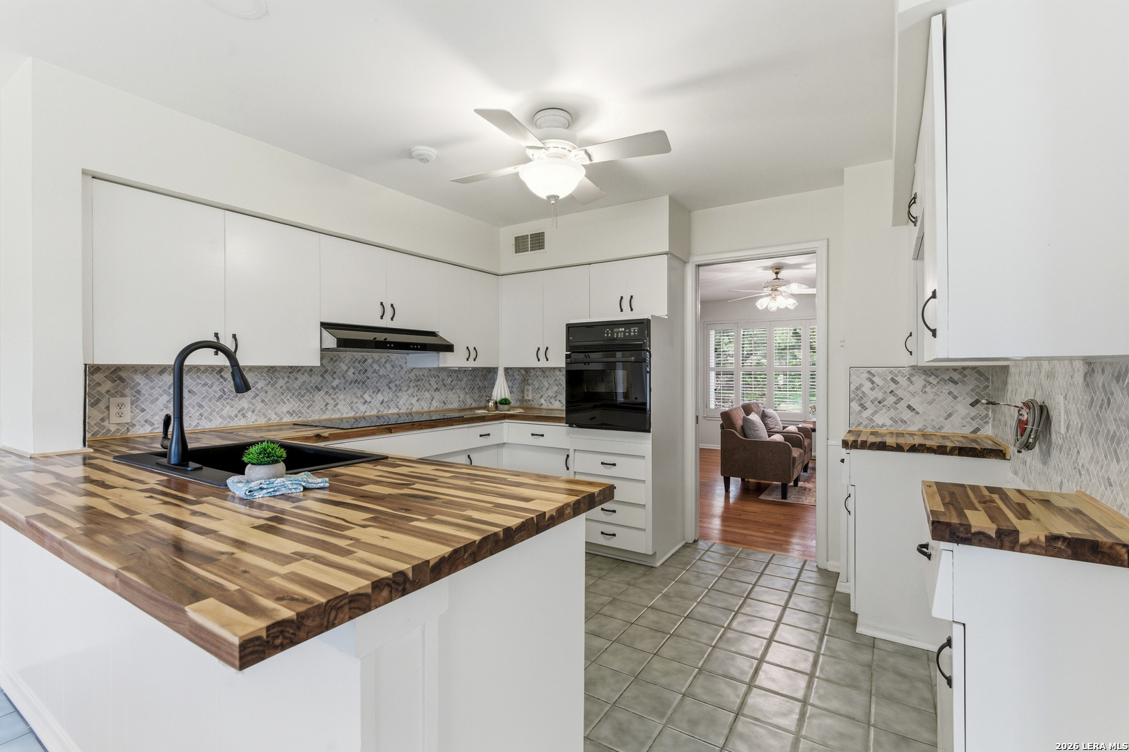334 Royal Oaks San Antonio TX 78209