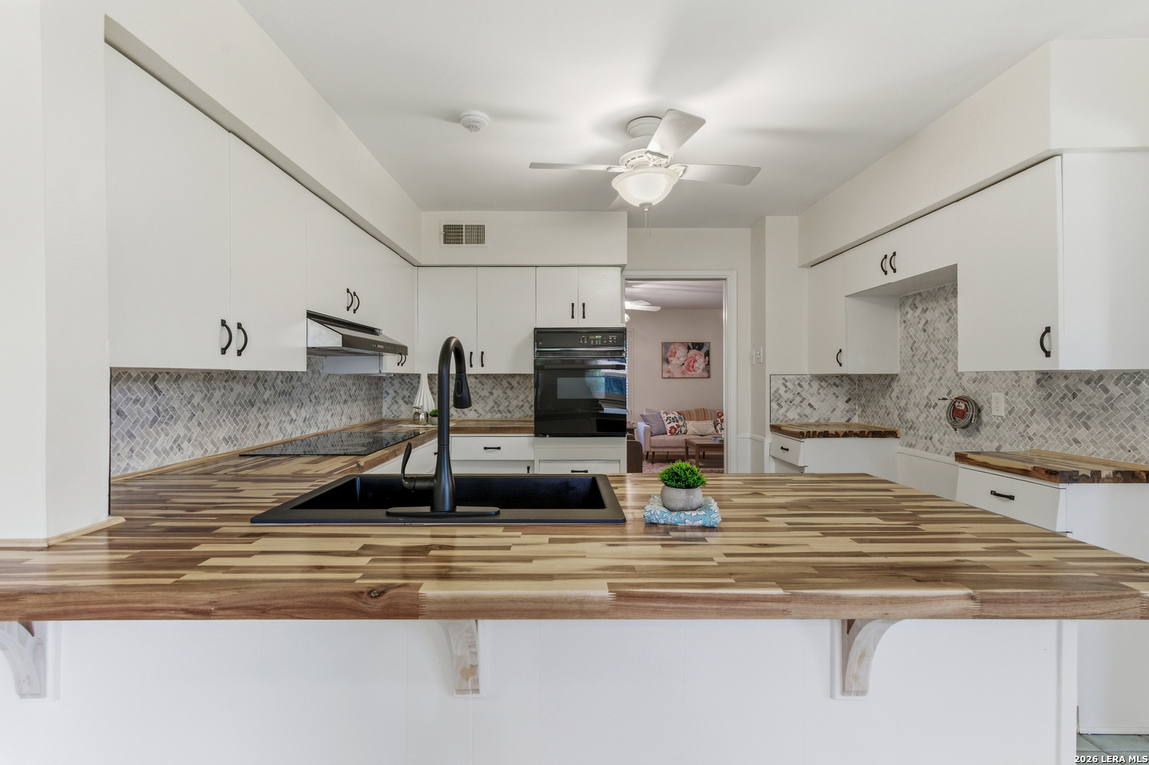 334 Royal Oaks San Antonio TX 78209