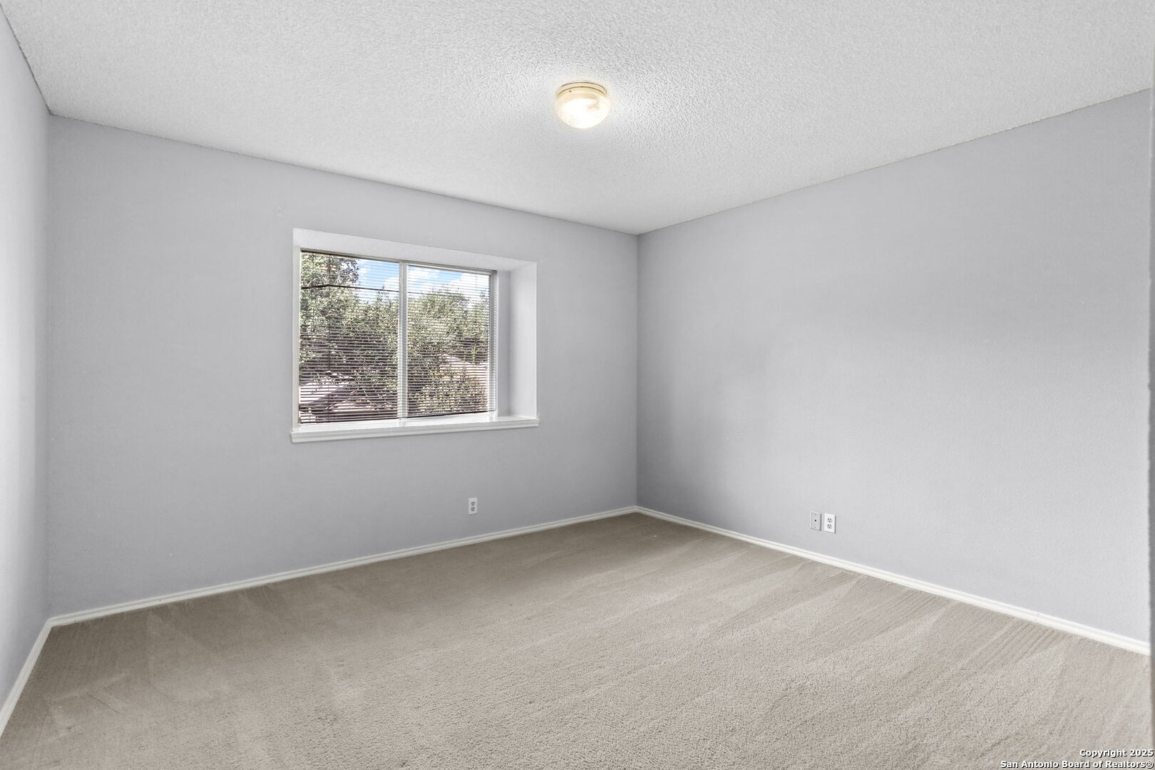 13907 Blenhein Ridge San Antonio TX 78231