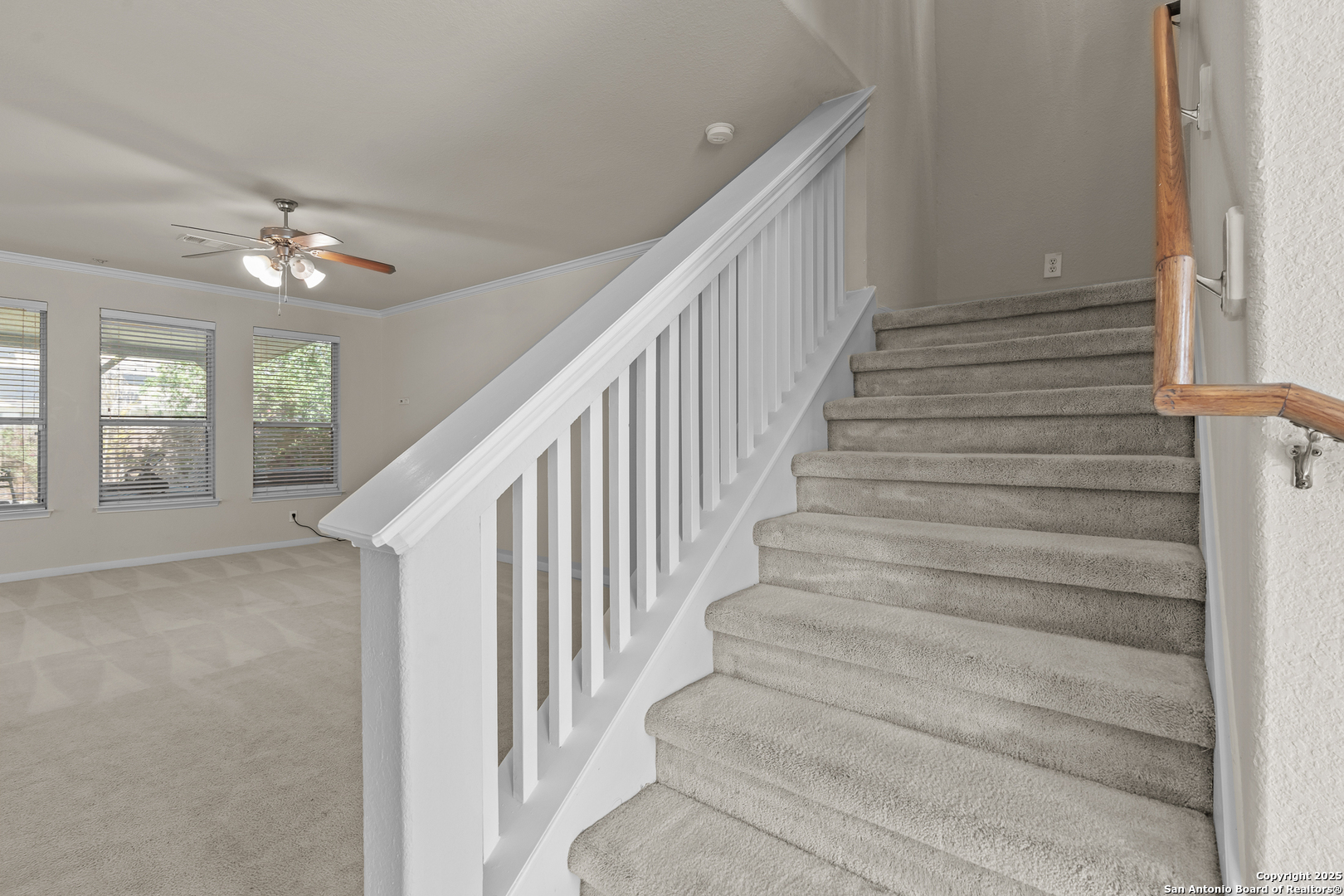 4015 Giverny Court Converse TX 78109