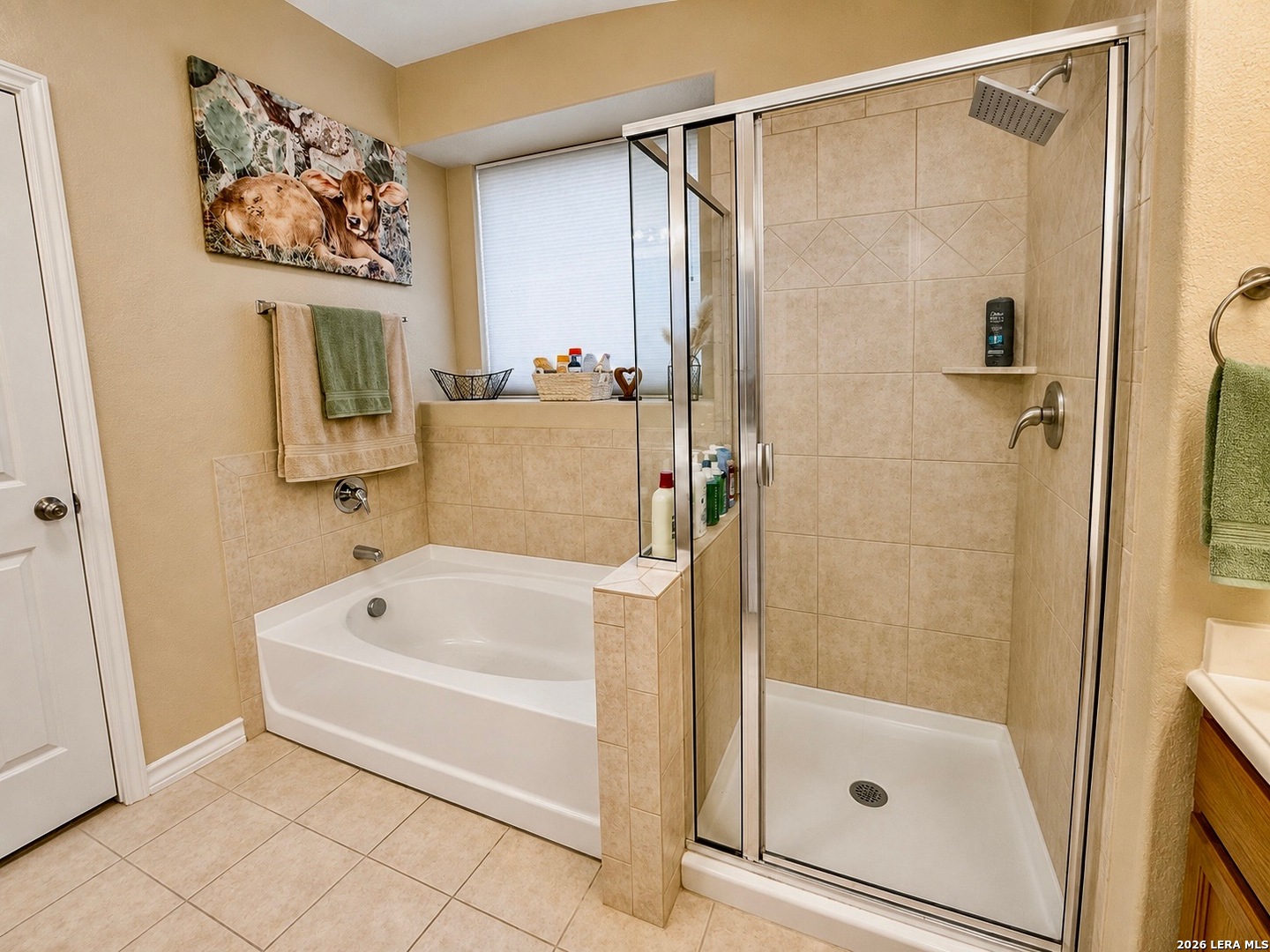 1848 Lost Trail Pleasanton TX 78064