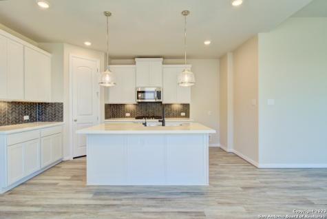 1822 Pining Street New Braunfels TX 78132