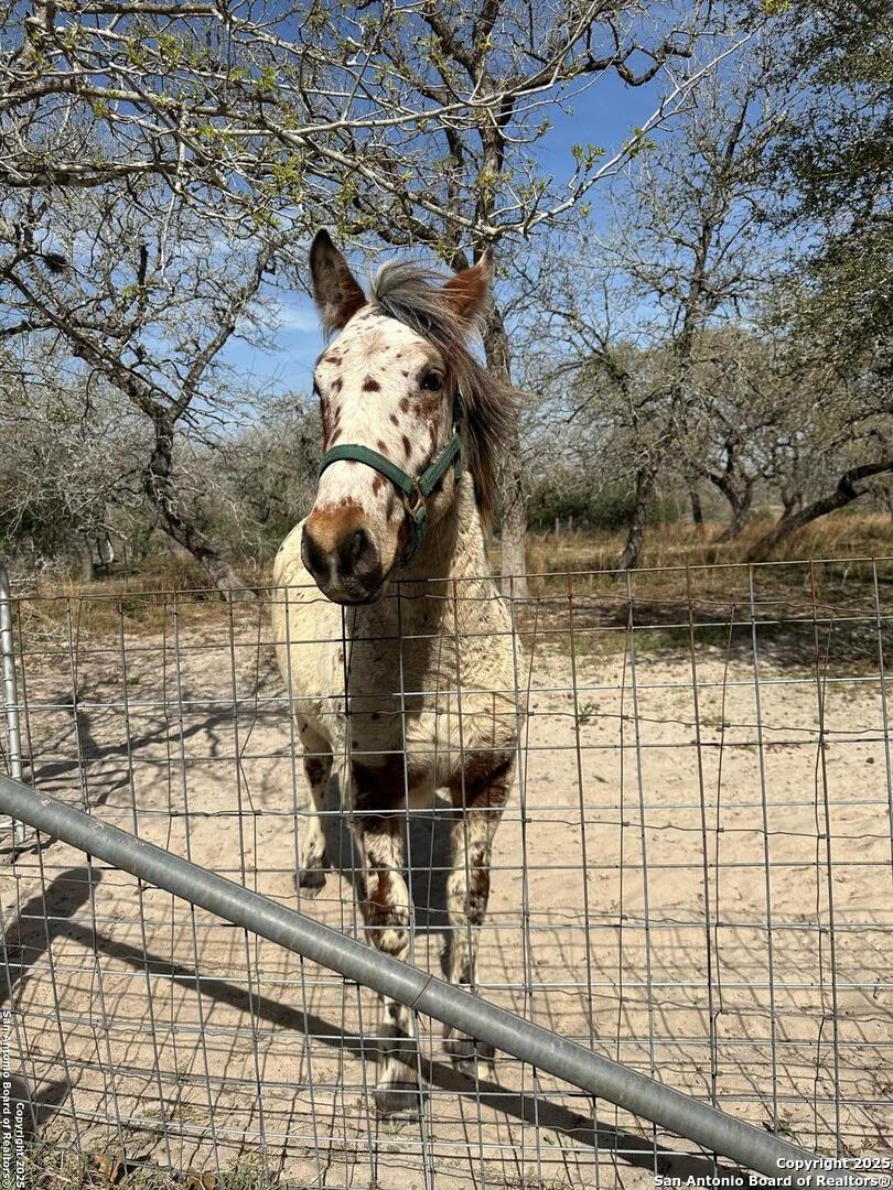 140 Guadalupe Ranch Seguin TX 78155