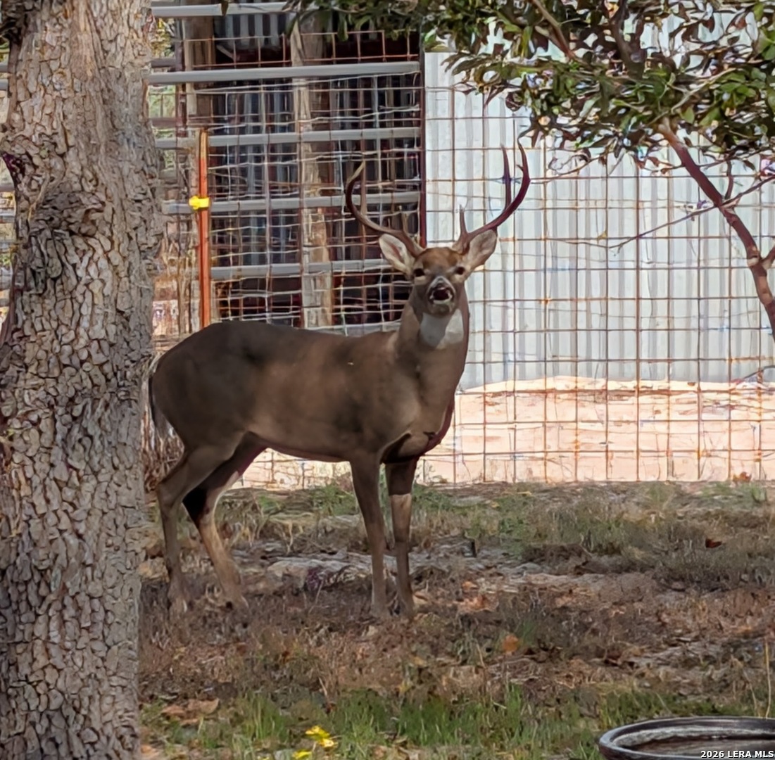 140 Guadalupe Ranch Seguin TX 78155
