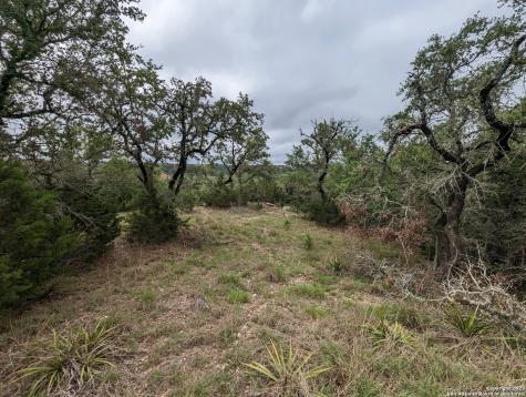 138 Oyster Springs Canyon Lake TX 78133