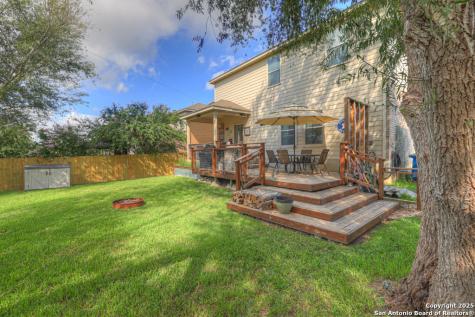 1933 Spotted Owl New Braunfels TX 78130